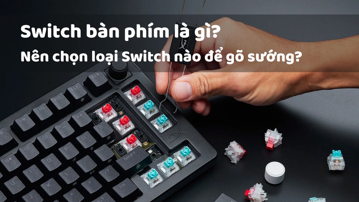 Switch bàn phím là gì? Nên chọn loại Switch nào để gõ sướng?